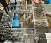 '수돗물 대란' 춘천시 단수 피해보상 5일간 추가 접수