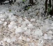 '직경4cm 우박에 초속15m 강풍'..북한, 초가을 이상기상에 긴장
