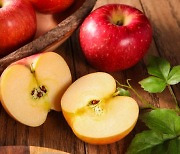암 예방·피부미용..사과가 건강에 좋은 이유