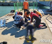 갯바위 낚시하던 50대 해상으로 추락 사망.."사고원인 조사 중"