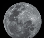 과학자들이 사랑한 달.. 달 수수께끼 밝히려는 연구 활기