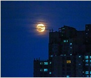 [조용철의 마음풍경] 아파트 빌딩 숲에 두둥실 뜬 보름달