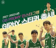 [구단소식] 원주 DB, 인스타그램 'GIPHY' 스티커 출시