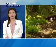 [픽뉴스] 반달곰의 진흙 목욕·'연경 식빵' 화제?·검찰총장에 직격탄·엘리트검사의 몰락·