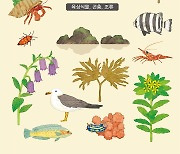 경북대 황의욱 교수, 생물 화보집 '독도의 생물다양성 Ⅰ·Ⅱ' 출간