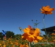 [내일날씨] 일교차 크고 서해 높은 물결