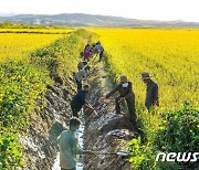 '폭우·우박 등 피해 막아야' 북한 재령군 청천협동농장