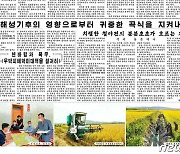 [데일리 북한]"귀중한 곡식 지키자"..수확철 재해 대비 철저