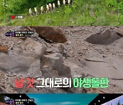 '야생돌' 촬영 장소 관심집중 "경기 화성시의 옛 채석장"