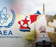 IAEA 사무총장 "북한, 핵 프로그램 전력 진행"