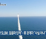 北 "남한 SLBM, 걸음마 단계"..軍 관계자 "사실 아냐"