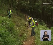 피란민 무연고 묘.."올 추석에 외롭지 않길"