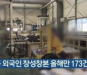 충북 외국인 창성창본 올해만 173건