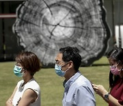 싱가포르도 확진자 폭증?.. '코로나19의 독감화'