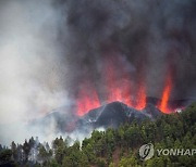 SPAIN ERUPTION