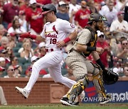 Padres Cardinals Baseball