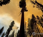 APTOPIX Western Wildfires