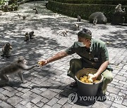 INDONESIA BALI TOURISM MONKEYS PANDEMIC CORONAVIRUS COVID19