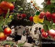 Israel Sukkot