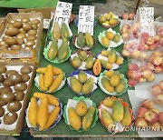 Taiwan Fruit