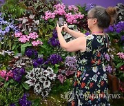 BRITAIN CHELSEA FLOWER SHOW