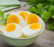 완전식품 달걀보다 더 풍부한 단백질 음식 6