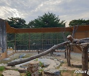 청주동물원, 11억 들여 동물사육시설 리모델링 나선다