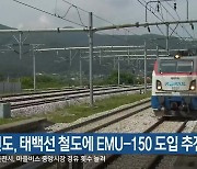 강원도, 태백선 철도에 EMU-150 도입 추진