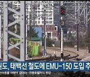 강원도, 태백선 철도에 EMU-150 우선 도입 추진