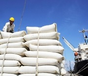 태국산 쌀 공급 호조와 통화 약세로 세계 2위 수출국 자리 노린다 [KVINA]