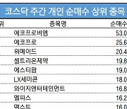 코스닥 주간 개인 순매수 1위 '에코프로비엠'