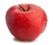 가을엔 역시 사과!..사과가 가진 놀라운 효능