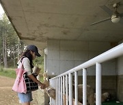 고소영, ♥장동건과 목장 데이트?..추석연휴도 여유로운 163억집 사모님