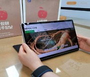 "없어서 못팔았소" 경북 영주 농특산물 온라인 쇼핑몰 추석 '대박'