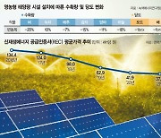 태양광패널 밑에서 농사짓는다?.. 무리한 '두토끼 잡기'