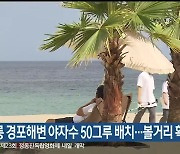 강릉 경포해변에 야자수 50그루 배치..볼거리 확충