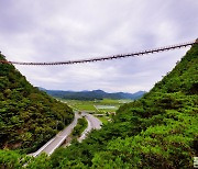 [포토친구] 국내에서 두 번째로 긴 채계산 출렁다리