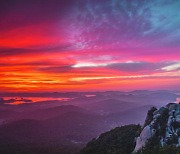 팔봉산에 서니 탁 트인 산·들·바다.. 막혔던 내 마음도 탁~