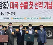 전남농협, 나주배 신품종 '신화·창조' 미국 첫 수출길