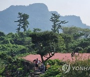 가을 정취 '물씬'