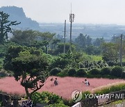 가을 정취 '물씬'