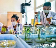 북한 농업연구원 벼연구소 연구지들.."개척의 한생"