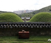 세계문화유산 장릉 사이로 보이는 검단신도시 아파트단지