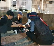 '음주·노상방뇨·도로점거' 무질서로 멍든 민노총 화물연대 집회