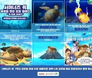컴투스,글로벌 환경 보호 캠페인..멸종위기 해양동물 구호 앞장