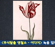 '철파엠' 이다지 "최초의 거품경제는 튤립, 17세기 네덜란드 황제튤립 한 송이 1억원까지 올랐다가 90% 폭락"