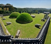 [초점] 왕릉 가리는 무허가 아파트 지은 건설사..강경대응 목소리 확산