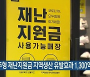 제주형 재난지원금 지역생산 유발효과 1,300억 원