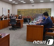 네이버웹툰 김준구·카카오엔터 이진수 대표 국감 '증인' 채택