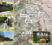 광주 서구, 생활밀착형 '도시숲 조성사업' 추진